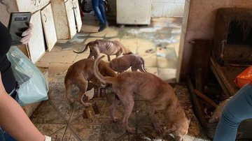 Reprodução Record Tv