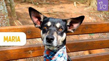 Reprodução | Redes Sociais