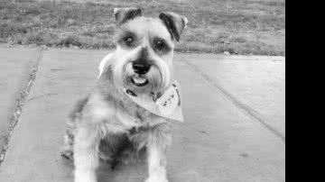 Reprodução/Twitter