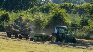 Mirko Fabian - Pixabay