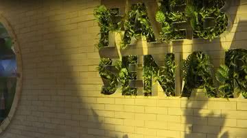 Reprodução/ TV Bahia