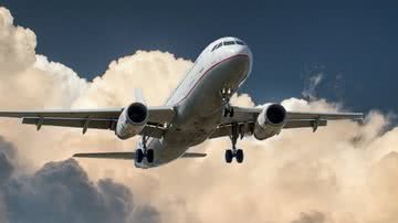 Divulgação //  Pexels