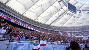 Divulgação /  EC Bahia