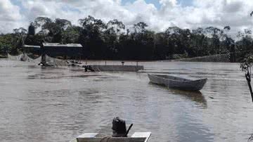 Foto: Divulgação/Ibama