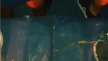 Twiiter/Reprodução