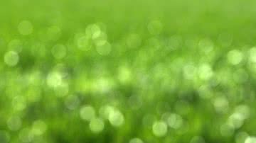 Divulgação / Gerd Altmann - Pixabay