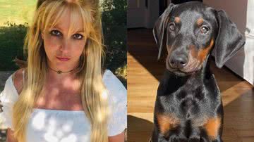 Reprodução/Instagram @britneyspears @samasghari