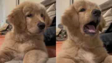 Reprodução/Instagram @hilaryswank