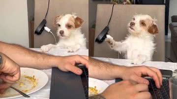 Reprodução/TikTok @carolinedellaquil