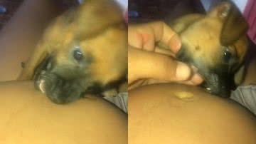 Reprodução/TikTok@jackelinebarros673