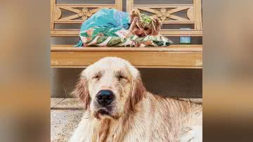 Reprodução/TikTok @thegoldenalfredo