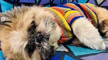 Reprodução// Instagram @thelminha