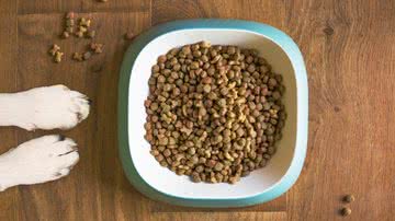 Mat Coulton por Pixabay