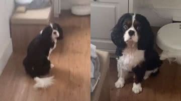 Reprodução// TikTok @kingbartolomeu