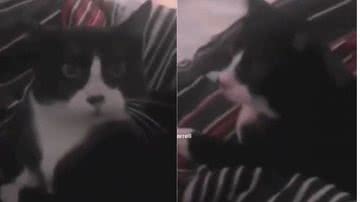 Reprodução// Twitter @MarcioBra1