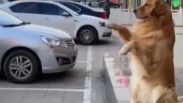 Reprodução/ Vídeo