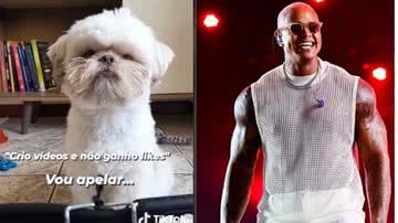 Reprodução// TikTok @otadeuzinho e Reprodução// Instagram @leosantana