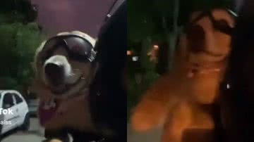 Reprodução// TikTok @karinethaiss