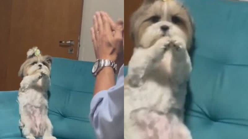 Reprodução// TikTok @lauraseixass