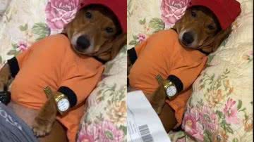 Reprodução// TikTok @marco_porronto