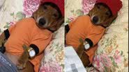 Reprodução// TikTok @marco_porronto