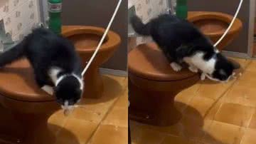 Reprodução// TikTok @bianc4x