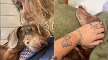 Reprodução/TikTok @becarbonaro