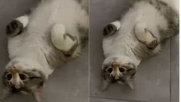 Reprodução// TikTok @it.keesoul