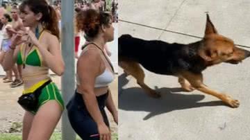 Reprodução/ Vídeo