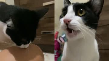 Reprodução/TikTok @isabellafonseca390