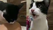 Reprodução/TikTok @isabellafonseca390