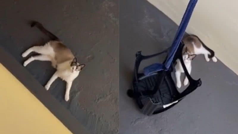 Reprodução/TikTok @isabelly.jordana