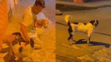 Reprodução/TikTok @antoniomouravimercati