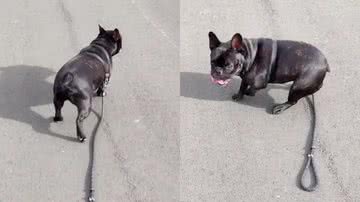 Reprodução/TikTok @cleber.yoga