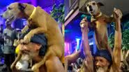 Reprodução/Twitter @choquei