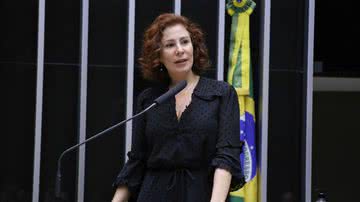 Reprodução/Câmara do Deputados