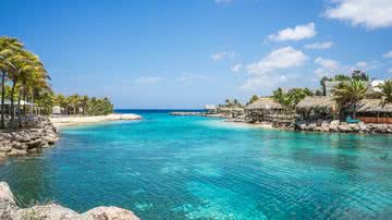 Divulgação / Michelle Raponi - Pixabay