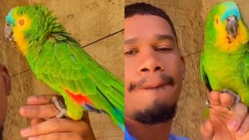 Reprodução/TikTok @lenikersouza