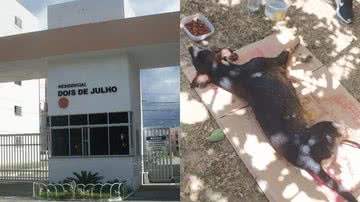 Reprodução/Facebook/Leitor BNews