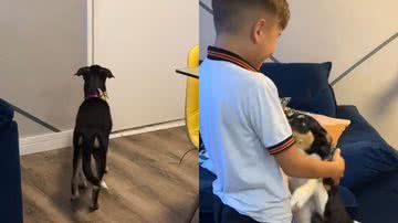 Reprodução/TikTok @amancamolesi