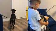 Reprodução/TikTok @amancamolesi