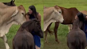 Reprodução/TikTok @dudinhaarrudaa2