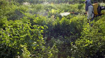 Davi Pinheiro/Agência Brasil