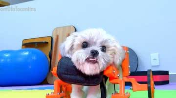 Reprodução/TV Anhanguera