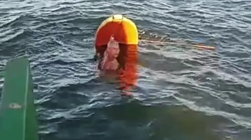 Reprodução / Redes Sociais