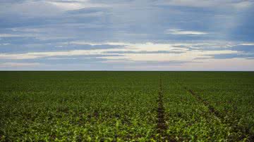 Marcelo Camargo/Agência Brasil