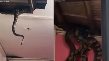 Foto: Reprodução/TIk Tok