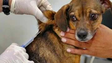 Foto: Comdecom / Divulgação