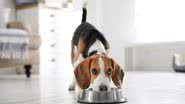 Foto: Shutterstock