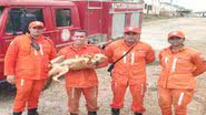 Foto: Divulgação/ Corpo de Bombeiros